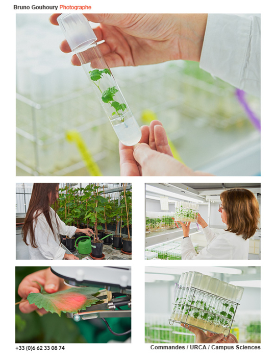 Campus Sciences URCA Reims Illustrations du campus des sciences et agronomie